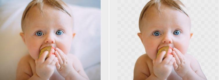 the image processed by BGremover